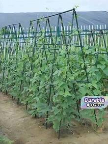 Durable Garden Support Pile Set, Multifunctional Garden Support Pole Set, Gardening Courtyard Garden Support Climbing Pole, Plant Climbing Bracket, Suitable For Various Fruits And Vegetables, Plant Support, Can Be Freely Combined And Assembled - Multicolor - View 1