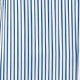 Blue and White