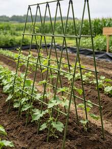 Durable Garden Support Pile Set, Multifunctional Garden Support Pole Set, Gardening Courtyard Garden Support Climbing Pole, Plant Climbing Bracket, Suitable For Various Fruits And Vegetables, Plant Support, Can Be Freely Combined And Assembled - Multicolor - View 5