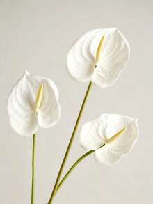 8 pièces Fleur d'oiseau de paradis artificielle blanche, Oiseau de paradis en plastique factice, Plante artificielle à tige longue, Convient pour la décoration de vase de fête à la maison, l'arrangement de table de mariage, la décoration intérieure, le bouquet DIY, le cadeau pour les femmes - Blanc - Voir 8