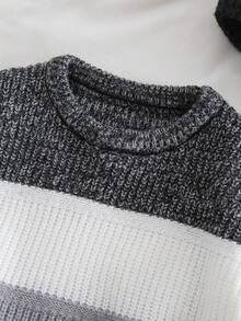 SHEIN Sparklyn 小男孩條紋圓領長袖休閒毛衣 - 彩色 - 查看 3