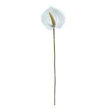 8 pièces Fleur d'oiseau de paradis artificielle blanche, Oiseau de paradis en plastique factice, Plante artificielle à tige longue, Convient pour la décoration de vase de fête à la maison, l'arrangement de table de mariage, la décoration intérieure, le bouquet DIY, le cadeau pour les femmes - Blanc - Voir 9