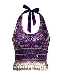 Sequin Embroidered Cropped Top Belly Dance Costume, Metal Disk Tassel Fringe Festival Outfit, Party Rave Stage Performance Wear For Women, Multicolor Options - Multicolor - View 22