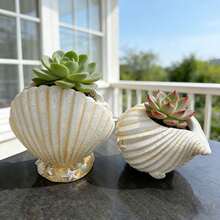 Creative Shell Conch Shaped Resin Planter, Unique Succulent Green Plant Pot, Minimalist Home Ornament For Window Sill Desk Garden, Plant Succulents And Small Green Plants, Creative Shape Planter - 1PC - View 7