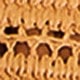 بني مصدي