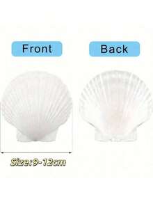10 PCS Large Artificial Scallop Shells, 4''-5'' (10-12cm) & 2''-3'' (5-8cm) – Faux White Seashells For Crafts, DIY Painting, Baking Decor, Beach Wedding Decorations, Ocean Themed Parties, Home Decor, Beach Party, Birthday Gifts - 10Pcs - View 2