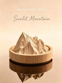 Rizhao Jinshan Fragrance Wood Essential Oil Aromatherapy Fragrance Diffuser Home Indoor Fire Free Aromatherapy Diffuser Home Decoration Gift - multicolor - View 5