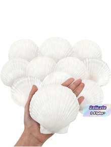 10 PCS Large Artificial Scallop Shells, 4''-5'' (10-12cm) & 2''-3'' (5-8cm) – Faux White Seashells For Crafts, DIY Painting, Baking Decor, Beach Wedding Decorations, Ocean Themed Parties, Home Decor, Beach Party, Birthday Gifts - 10Pcs - View 1