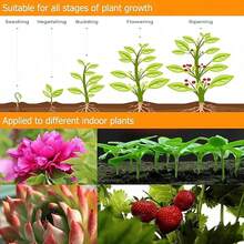 Full‑Spectrum LED Plant Grow Light, USB Powered Indoor Plants Supplement Lamp, 3‑Mode Timing, 3‑Level Adjustable Brightness, Sunlike Grow Lamp For Seedlings, Small Potted Plants, Succulents & Houseplants - Grow Light - View 3