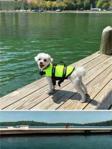 1pc Pet Life Jacket Dog Swimming Summer Vest Diving Clothes Adjustable Safety Buckle High Buoyancy Preserver For Dogs Beach Pool Water Sports Summer Essential - Multicolor - View 2