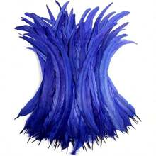 100 Pieces Rooster Tail Feathers, Suitable For Carnival Party Performance Costumes Decoration, Diy Headpiece Feathers, Wedding Decoration Headpiece Feathers - Multicolor - View 12