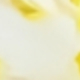 彩色