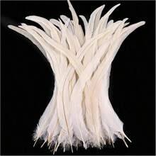 100 Pieces Rooster Tail Feathers, Suitable For Carnival Party Performance Costumes Decoration, Diy Headpiece Feathers, Wedding Decoration Headpiece Feathers - Multicolor - View 13