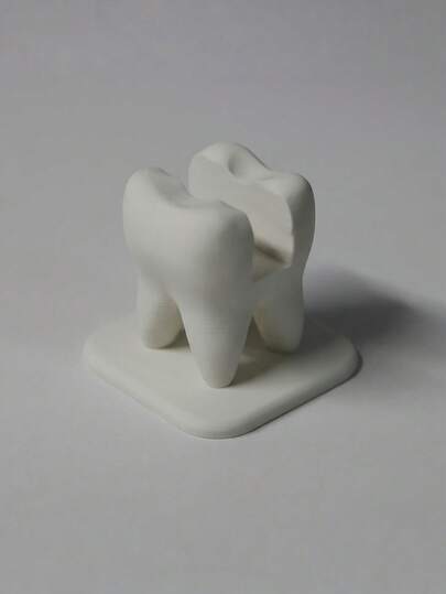 1PC 3D Printed Tooth Shape Business Card Holder Desk Organizer For Dental Clinic Reception Desk Office Decor Professional Dentist Gift Unique Tooth Model Holder Stand White