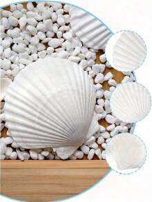 10 PCS Large Artificial Scallop Shells, 4''-5'' (10-12cm) & 2''-3'' (5-8cm) – Faux White Seashells For Crafts, DIY Painting, Baking Decor, Beach Wedding Decorations, Ocean Themed Parties, Home Decor, Beach Party, Birthday Gifts - 10Pcs - View 3