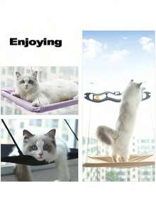 1pc Cat Hammock, Hanging Window Cat Bed, Plastic Material Pet Bed, Suitable For Cats & Small Dogs, Window Mounting Fixture, 4kg Load Capacity, Pet Accessory - Multicolor - View 6