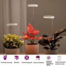 Full‑Spectrum LED Plant Grow Light, USB Powered Indoor Plants Supplement Lamp, 3‑Mode Timing, 3‑Level Adjustable Brightness, Sunlike Grow Lamp For Seedlings, Small Potted Plants, Succulents & Houseplants - Grow Light - View 7