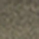 الأسود
