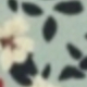 多色