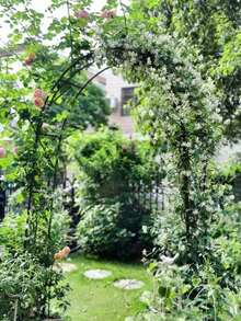 Metal Garden Plant Climbing Flower Arch Frame Decoration Pergola For Flower And Plant With Green Vine - Black - View 7