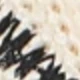Beige 2