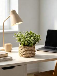 3pcs/Set Artificial Rattan Potted Plants, Seagrass Rope, 3 Identical Green Plants, Made Of PE And Polyester Fiber, Desktop Decor For School, Dorm, Office, Home, Back To School, Valentine's Day, Easter, Spring/Summer - Green - View 9
