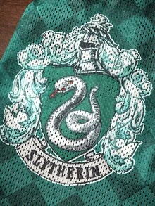 HARRY POTTER X SHEIN 復古徽章綠色格紋透氣網眼寵物背心，四季涼感無袖上衣，適合狗與貓，多尺寸 XXS-XXXXXL，室內外輕便寵物背心 - 綠色 - 查看 2
