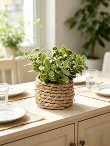 3pcs/Set Artificial Rattan Potted Plants, Seagrass Rope, 3 Identical Green Plants, Made Of PE And Polyester Fiber, Desktop Decor For School, Dorm, Office, Home, Back To School, Valentine's Day, Easter, Spring/Summer - Green - View 7