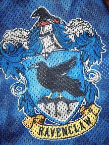 HARRY POTTER X SHEIN 復古盾牌徽章鳥圖案藍色格紋網眼寵物背心，透氣四季通用無袖衣，適合貓狗，多尺寸 XXS-XXXXXL，輕量日常散步寵物裝 - 藍色 - 查看 2