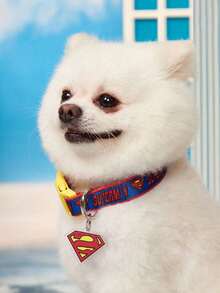 SUPERMAN X PETSIN 1pc Printed Webbing Dog Collar, Durable Red, Blue And Yellow Design With Quick-Release Buckle, Adjustable Comfortable Collar For Small And Medium Dogs, Perfect For Fans Of - Multicolor - View 10