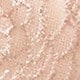 Champagne 1 rose net