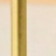 彩色