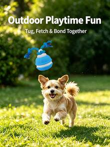 Teckwe 1 Pc Durable Rubber Bouncy Teething Training Pet Toy Ball Mixed Vivid Color Pet Toy Ball For Medium Small Large Dogs Backyard Indoor Interactive Game All Seasons Use Pet Chewing Toy Dog Entertainment Accessory Pet Play Supplies 200mAh - View 3