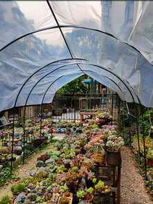 1 Piece Of Multi Size Transparent Waterproof Cloth, Used For Outdoor Furniture In Terraces, Pavilions, Gardens, Greenhouses. The Transparent Waterproof Cloth Cover Is Wear-Resistant, The Edges Are Wrapped, The Transparent Rainproof Cloth Is Thickened - Transparent - View 5