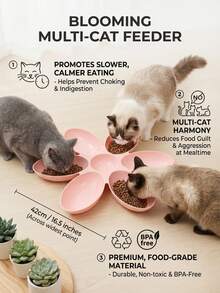 PETSIN 1 قطعة وعاء تغذية قطة بشكل بتلات لطيف 6 شبكات طبق طعام زهرة بلاستيك ناعم تصميم جمالي بألوان باستيل خفيف الوزن محمول قاعدة مانعة للانزلاق صديق للشاربين ديكوري سهل التنظيف للقطط الصغيرة والقطط الشابة والحيوانات الأليفة الصغيرة للاستخدام المنزلي اليومي هدية عيد ميلاد وعطلة - المعيار - مشاهدة 2