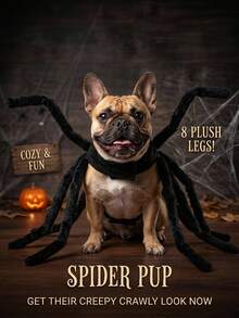 PETSIN 1 buah Kostum Halloween Hewan Peliharaan Lucu dengan Desain Laba-laba Kreatif untuk Kucing, Anjing, dan Anak Anjing Kecil - Hitam - View 2