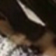 彩色
