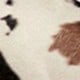 cow pattern