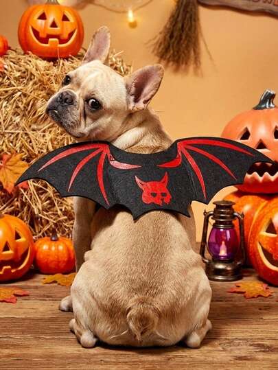 PETSIN Kreatywny i stylowy unikalny kostium dla zwierząt na Halloween w kształcie nietoperza, zabawny strój specjalny