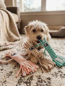 PETSIN Cute Doll Shaped Squeaky Plush Dog Toy, Adorable Fluffy Interactive Chew Toy, Fun Teething Play Companion For Puppies And All Sized Dogs - Multicolor - View 2