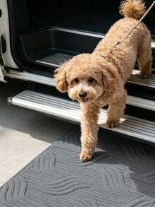 1 Thick Non-Slip Car Pet Mat, Durable Pet Non-Slip Seat Cushion, Bite-Resistant And Wear-Resistant, Suitable For SUV, Car, Truck, And Other Vehicles, Easy To Clean, Can Protect Car Seats, Suitable For All Dog Breeds, Polyester Travel Mat - Multicolor - View 6