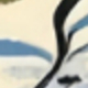 彩色