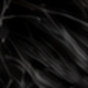 Natural Black