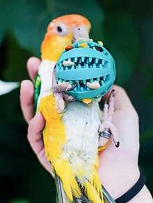 Interactive Parrot Foraging Balls, Durable Plastic Chew Toy For Medium & Small Birds, Ideal For Budgies, Cockatiels And Lovebirds - Multicolor - View 5