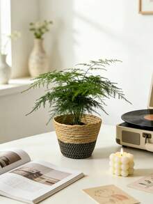 1/2/3PCS Natural Seagrass Woven Planter Basket Set Large Medium Small Boho Farmhouse Coastal Wall Hanging Flower Pot Holder Storage Organizer For Living Room Bathroom Home Decor Spring Summer Gift Must Haves - multicolor - View 4