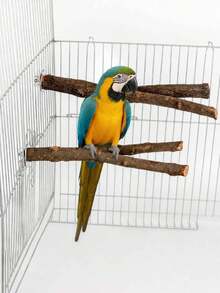 1pc Handmade Wooden Durable Bird Perch Stand, Comfortable Bird Chewing Stick, Fun Bird Toy & Accessories, Natural Wood Variations (Weight & Shape Slightly Differ) - Brown - View 2