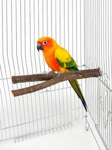 1pc Handmade Wooden Durable Bird Perch Stand, Comfortable Bird Chewing Stick, Fun Bird Toy & Accessories, Natural Wood Variations (Weight & Shape Slightly Differ) - Brown - View 7
