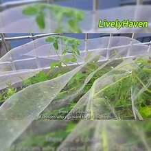 2.4mX4m/6m/10m 3mx10m Diy Garden Mosquito Net-Outdoor Camping Mesh, Ideal For Yard, Patio, And Garden Protection - Durable Polyester Material, Blocks Mosquitoes Effectively, Suitable For All Seasons, Garden Net | Outdoor Privacy Screen | Durable Mesh - Multicolor - View 10