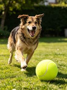 1 pieza Pelota de tenis para perro de 9.5 pulgadas resistente y rebotadora, juguete de masticar de alta elasticidad para perros pequeños y medianos, entrenamiento, ejercicio y juego de lanzar al aire libre, juguete de goma inodoro para cachorros, suministros interactivos para perros de verano - Multicolor - Ver 9