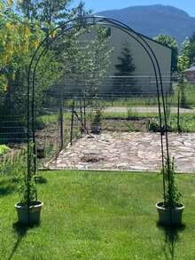 Metal Garden Plant Climbing Flower Arch Frame Decoration Pergola For Flower And Plant With Green Vine - Black - View 8